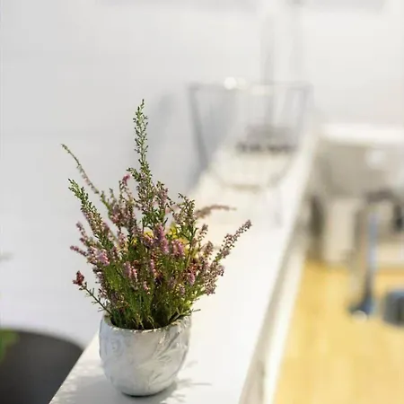 0167-romo-julianehab-12 Holiday home *