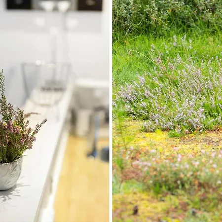 0167-romo-julianehab-12 * Kongsmark