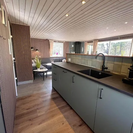 0167-romo-julianehab-12 בית נופש Kongsmark