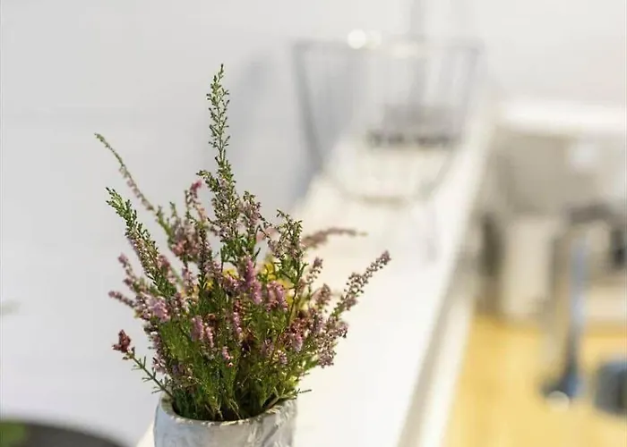 0167-romo-julianehab-12 Feriehus *