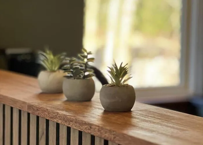 0167-romo-julianehab-12