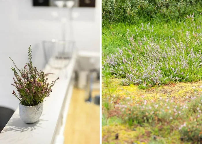 0167-romo-julianehab-12 בית נופש