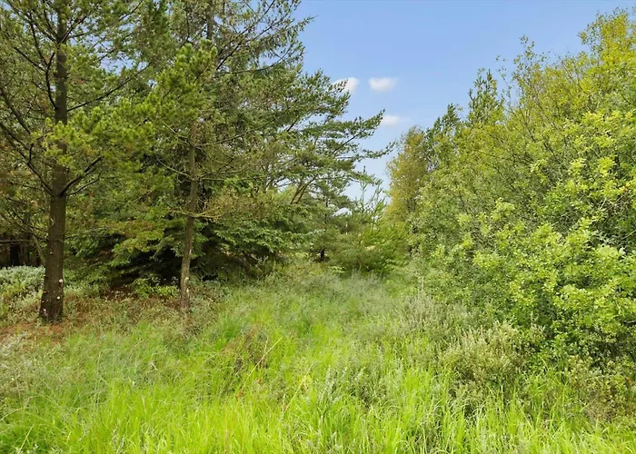 0167-romo-julianehab-12 בית נופש Kongsmark